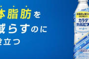 【FF14】これはカルピス討滅戦になる！？カロリーが気になる光の戦士さん、ローソンコラボ対象商品の「カラダカルピス」に狙いを定めるｗｗｗｗ【面白ツイート紹介まとめPart110】