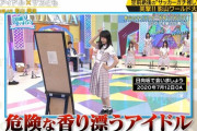 【日向坂46】テレ東さん、影ちゃん出演の『FOOTxBRAIN』でひなあいの最新素材を使ってしまうwwww
