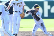 どんでんこと阪神タイガース岡田彰布監督による選手評価一覧（野手編）