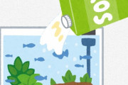タニシスレ民さん、水槽に豆乳をドバドバ投入してしまう・・・