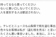 【悲報】山梨で桃が1万4400個盗まれる→突然メルカリで桃を大量に売るベトナム人が現れる……