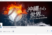 琉球ブルーオーシャンズがCPBL入り目指しクラファン → CPBL「ダメです」