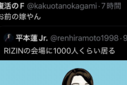 平本蓮「RIZINにこんな女1000人は居る」X民「お前の嫁やん」蓮「😡😡😡」