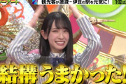 日向坂46金村美玖、ゴールデン3時間スペシャルでとんでもない見せ場を作る！！【プレバト!!】