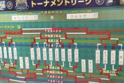 【ポケモンGO】世界大会予選通過者、複垢を叩かれツイ垢を消してしまう…