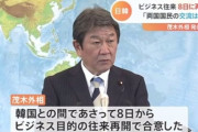 【ネトウヨ悲報】日本政府、韓国とのビジネス往来を再開へ！シンガポールに続き２カ国目