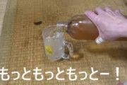 「アル中カラカラおじさん」とかいう闇の深い動画が流行ってしまう…