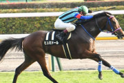 天皇賞春4頭目の犠牲馬…ヒュミドールがレース後に骨折判明