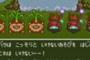 【悲報】ドラクエの『遊び人』　闇が深い…