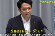 【悲報】小泉進次郎「えっと…もしかして俺…嫌われてます…？」
