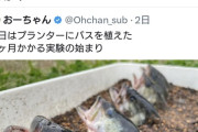 【悲報】YouTuberと釣りプロ、レスバ開始ｗｗｗｗ