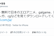 【悲報】人気配信者しゃるるさん、Twitterを乗っ取られ違法DLサイトを宣伝してしまう
