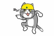 現場猫が体験した身の毛もよだつ恐ろしい話