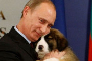 韓国人「子犬には優しいプーチンをご覧ください」