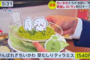 【画像】ちいかわ、人の心が無さすぎる商品を発売