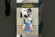 【日向坂46】スヌーピーさんおひさまを敵に回す　#日向坂46