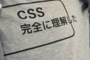 CSSを理解していないヨッメ「何これ、はみ出てるじゃん。不良品？」