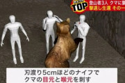 【悲報】 ヒグマ、人カスに敗北してしまうｗｗｗｗｗｗｗ