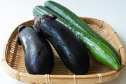 【悲報】きゅうり・ナスが高騰