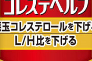 小林製薬の馬、吉田和美名義になる