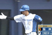 【vs.阪神オープン戦】日ハム、3回に矢澤の好走塁で1点差に詰め寄る！