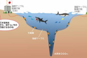 海底ケーブルとかいう本当に海底を通っているケーブル