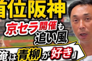 【朗報】宮本慎也「俺は青柳が好き」