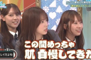 【日向坂46】難しい企画と言われたひなあい褒め褒めストラックアウト企画、正解はこれなのかもしれない