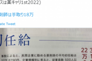【悲報】新卒薬剤師さん、咽び泣く「6年死ぬ程勉強して手取り18万。これが現実。」