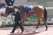 【競馬予想】[2]第30回函館スプリントステークス(GIII)