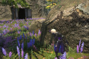 【FF14】「同行」「尾行」←この遊びっている？時間稼ぎに思えてイライラするんだが・・・