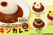 松屋、オリジナルチキンカレー(税込480円)を販売　ビーフカレー(税込580円)は終売