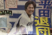 【中日】平田が退団へ、現役続行へ他球団移籍を模索