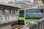 東京に旅行に行くんだけど電車詳しい人いる？