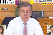 【意味深】韓国・文大統領「退任後は自然に戻り、ひっそりと暮らしたい」←これ?