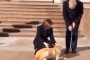オーストリアの大統領、モルドバ大統領の飼い犬に噛まれてしまうｗｗｗｗ