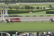 【競馬】朗報！キズナ種牡馬成功！！！！【レジェーロ6馬身差圧勝】