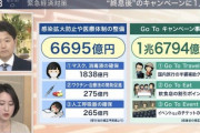 【朗報】安倍政権「Go To キャンペーン、半額旅行券」に医療対策等の３倍の予算計上！！