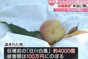 山梨県で桃の盗難が相次ぐ→メルカリに怪しい桃が出品される