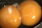 卵に黄身2つ入ってたｗyｗyｗy（※画像あり）