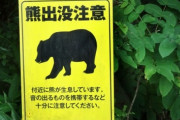 【獣害】動物保護団体「熊を駆除したことは許せない　解決法としては山に大量にどんぐりを撒けばいい」
