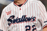 セリーグ・高津監督「スワローズの野球を楽しんでもらいたい」←これWWWWWWWWWWW