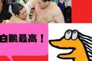 なんJ民「まともな相撲ファンで白鵬嫌いな奴おらんやろ」