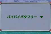 4大アニメの神サブタイトル「バイバイバタフリー」「瞬間、心、重ねて」「月は出ているか？」