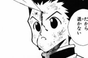 【朗報】昔のハンターハンター見たらめっちゃ少年漫画してるんだがｗｗｗ