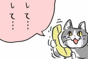 現場猫｢どうして...？｣←これ言ってる画像くださいwwwwwwwww