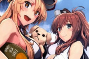 【艦これ】アメリ艦ビキニ is 凶気