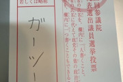【画像】ガーシー信者さん、揃いも揃って選挙でガーツーに投票してしまうｗｗｗｗｗｗｗｗ