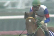 【競馬】グリーンCh特番「カンニング竹山×尾形充弘×グラスワンダー」現在のグラスワンダーの姿が美しすぎる