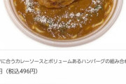 【朗報】セブンの新商品「ハンバーグカレースパゲティ」くっそ美味しそう